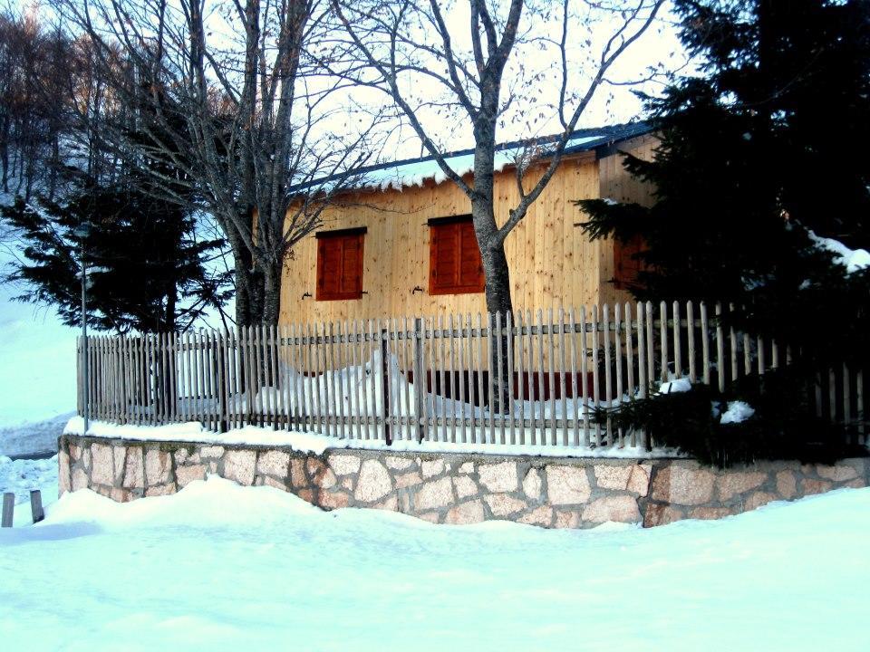 Campeggio Branchetto Bosco Chiesanuova Ngoại thất bức ảnh